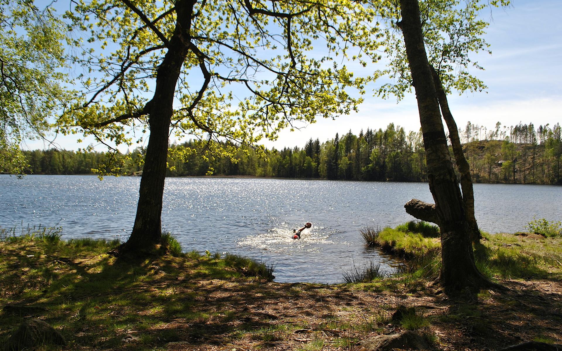 Simmar du utomhus är det viktigt att inte simma ensam.