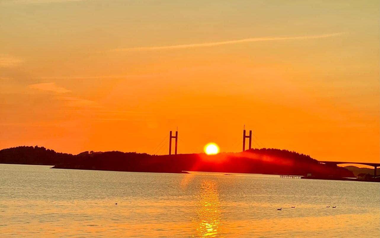 Som balsam för själen. Ett ögonblick att fylla på sin energi av det vackra enkla.