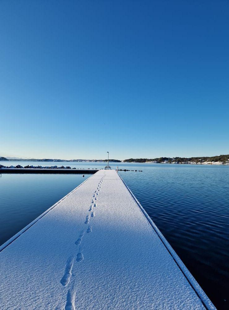 Svanvik, Orust 7 december. 