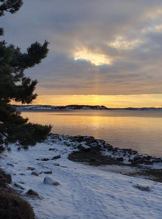 På söndagspromenad i Svanvik, Orust.