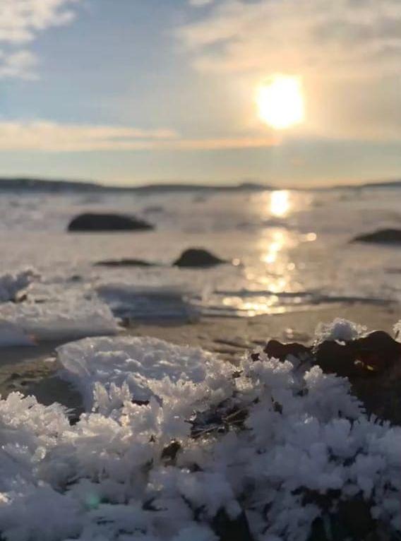 Stannade bilen vid stranden i höjd med hållplatsen Strandnorum för att fånga den vackra vintersolen.