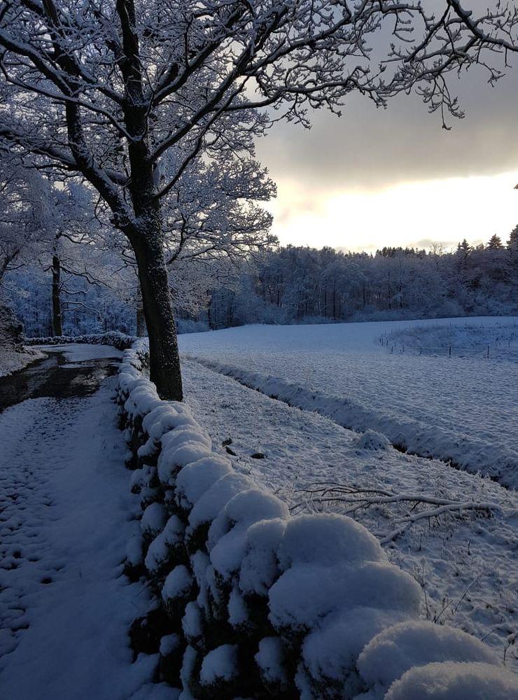 3 januari på Södra Skårs gård i Ödsmål.