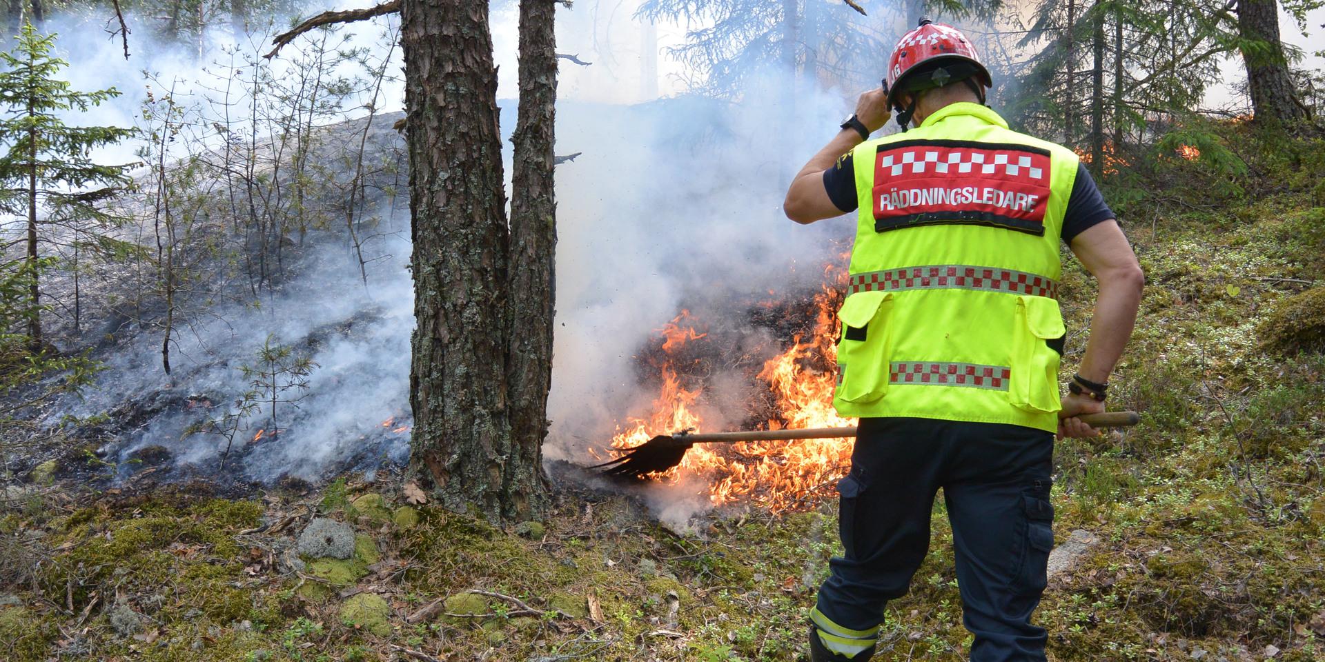 Observera att bilden är en genrebild.