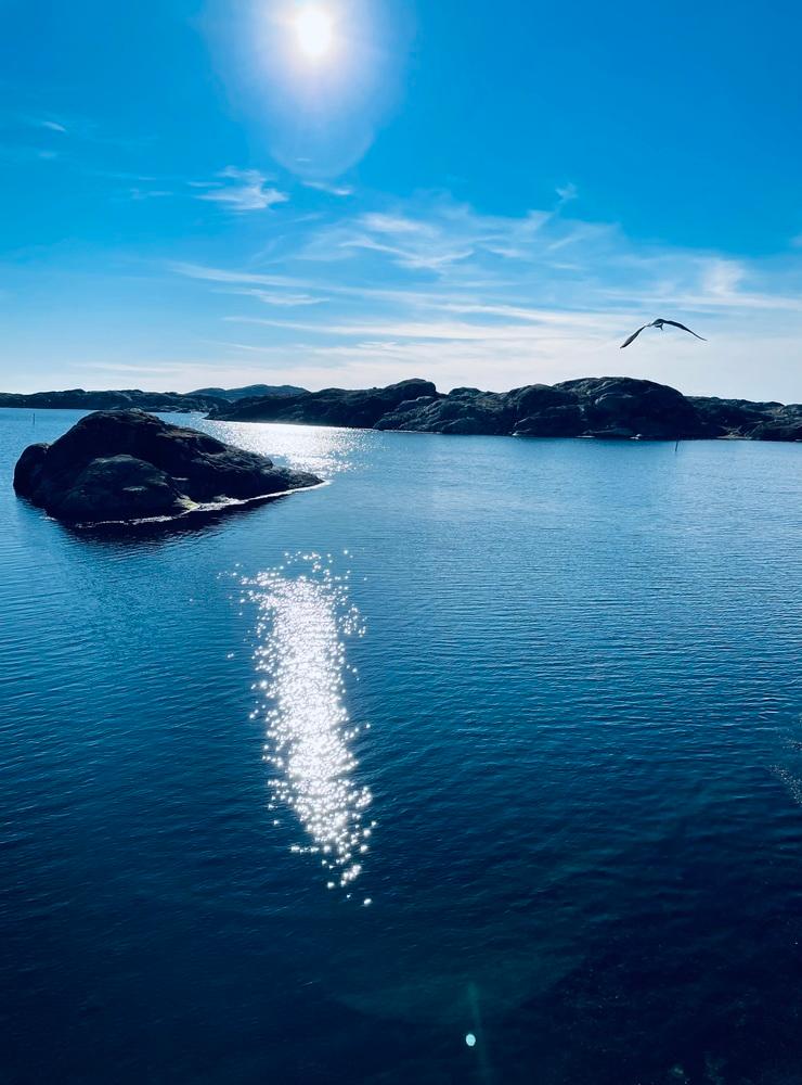 Ett soligt Skärhamn 13/3. Bilden togs uppe på hopptornet och ut mot havet. 