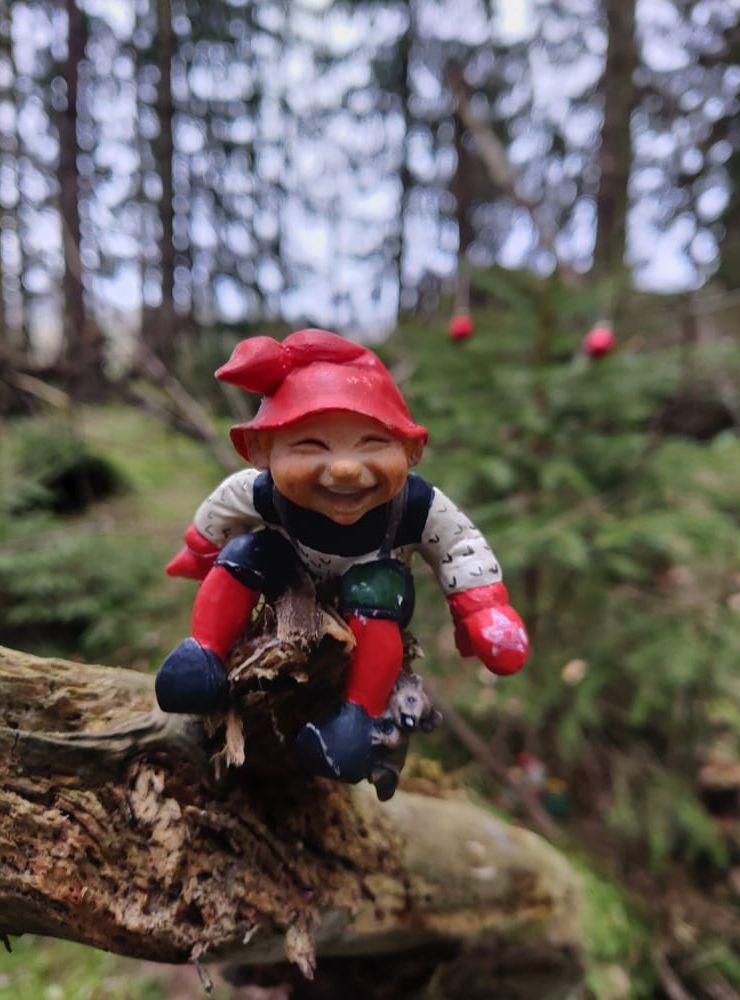 Första advent-förberedelser i Tomteskogen mellan Sibräcka och Säby.