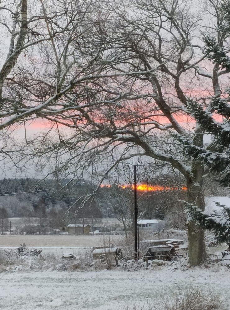 På morgonen den 22 november i Säby på Tjörn innan det blev en helgrå dag.