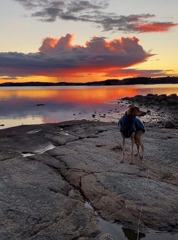 Kvällspromenad i Anrås/Getskär med häftig himmel som sällskap.