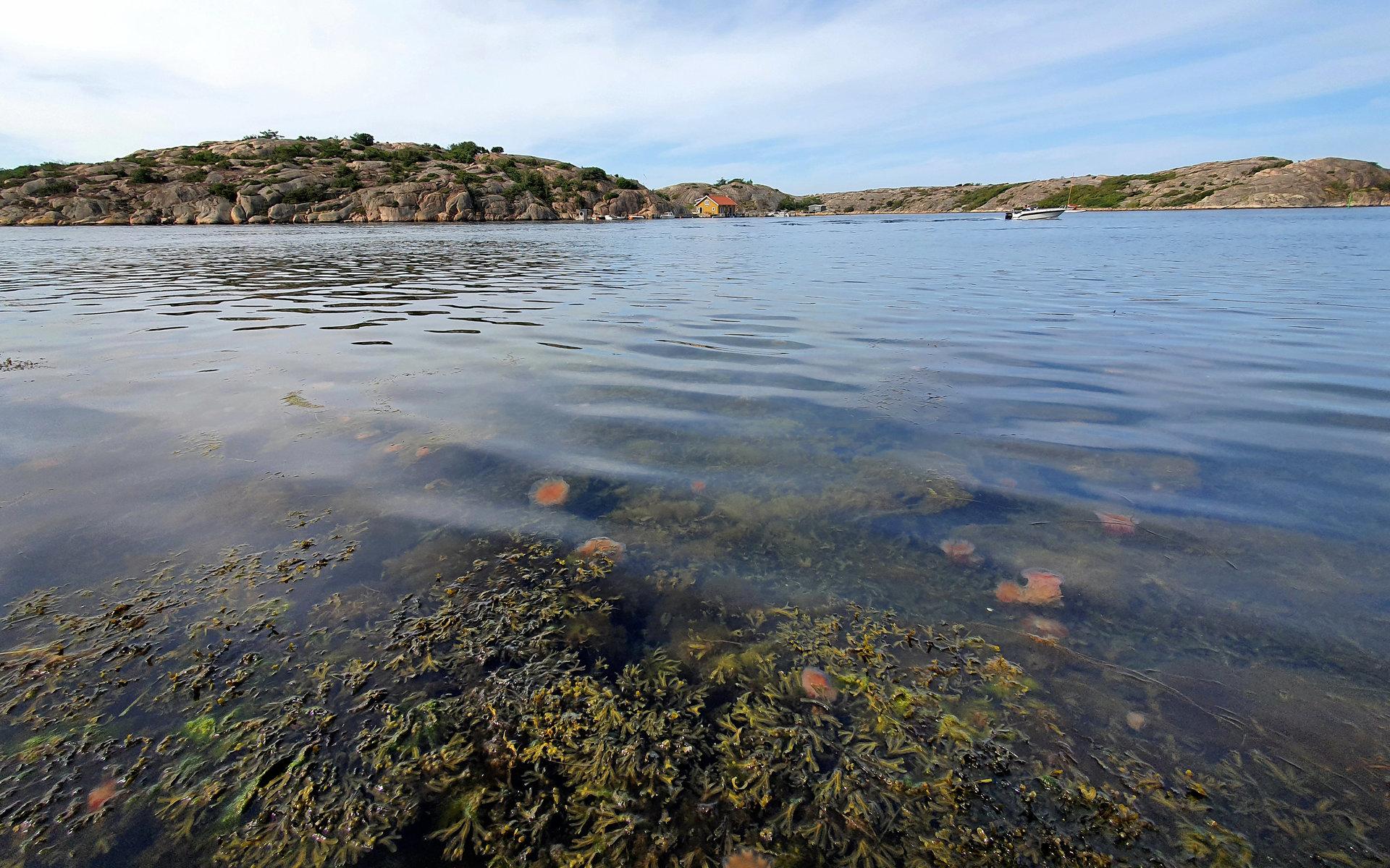 26-åriga Sonnelie Magnusson utlovar många bilder från havet. OBS: Bilden är en genrebild. 