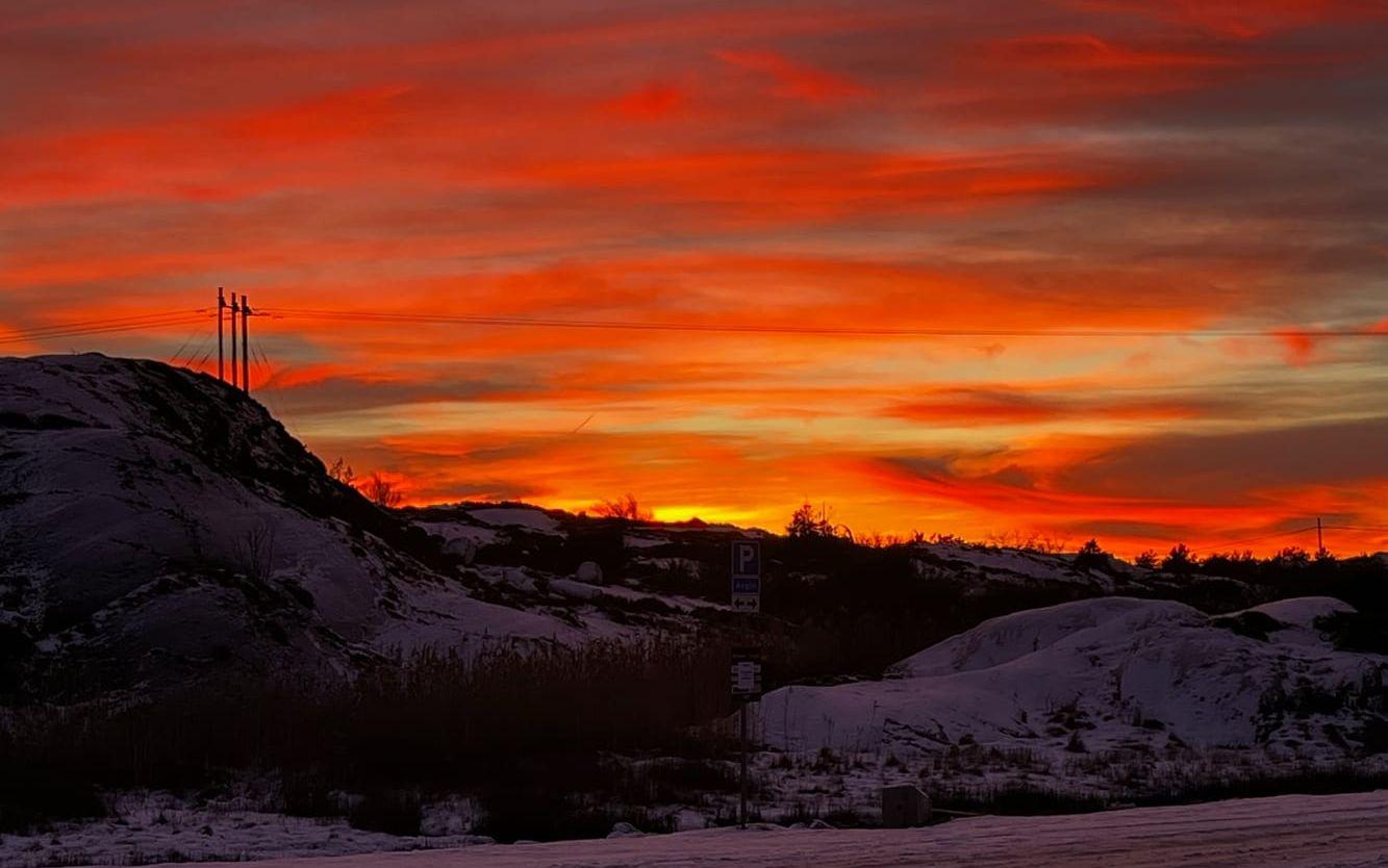 Bilden är tagen i Kyrkesund Björholmens Marina den 12 januari. Inga filter!