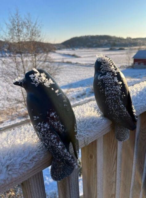 Från min terrass i Klövedal.