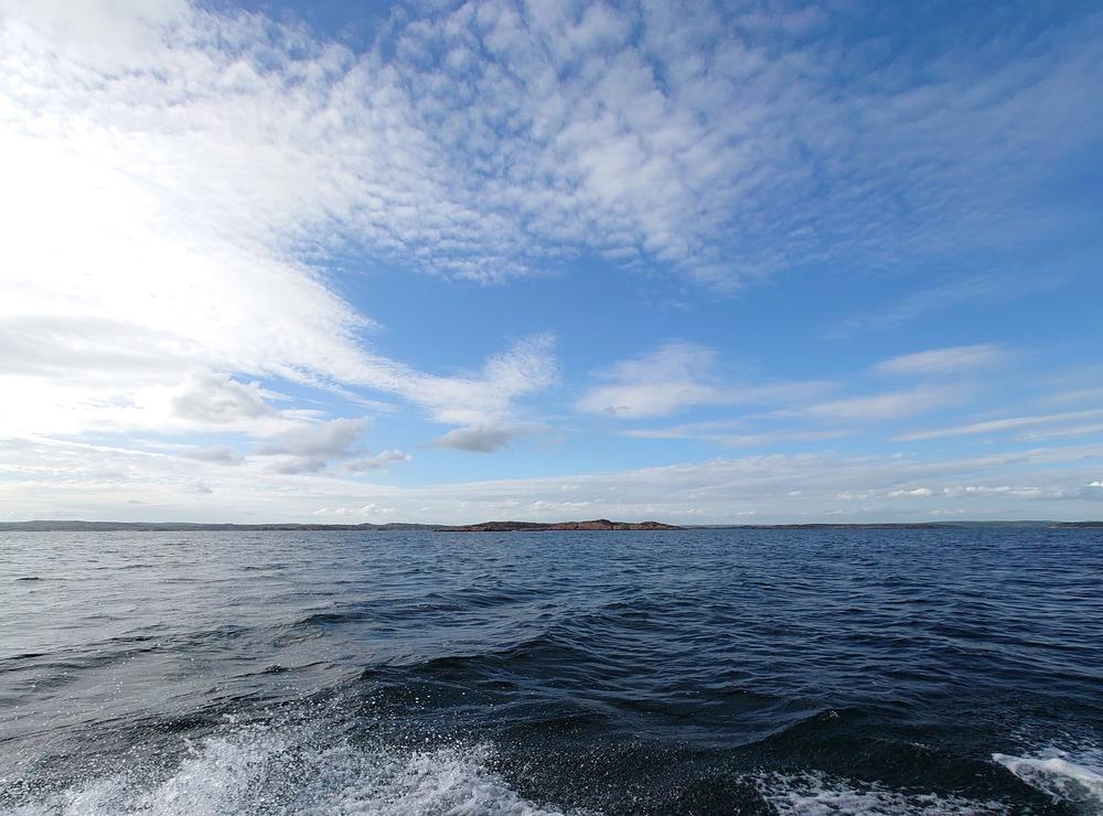 Stigfjorden när vi ska ut på makrillfiske en underbar junikväll.