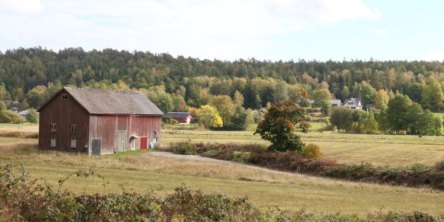 Insändarskribenten är kritisk till Orust kommuns planer av modulbyggen i Henån som bland annat vill placera tre boendemoduler vid det här området i Utgård.