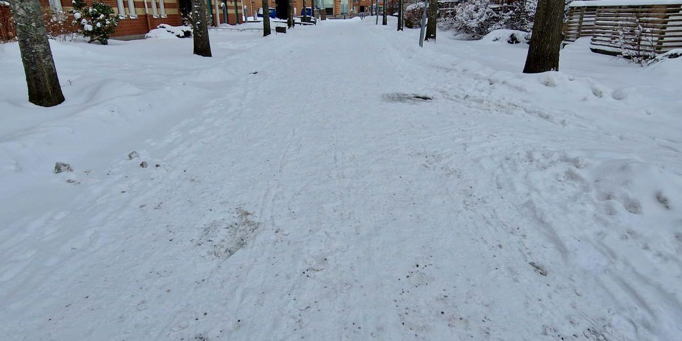 Signaturer ”Rullstolsligan” anser att kommunen har glömt bort funktionsnedsatta när snön har fallit. Jättemånga har ramlat ute  i centrum dessa dagar när ej skottning och sandning skötts, menar insändarskribenten.