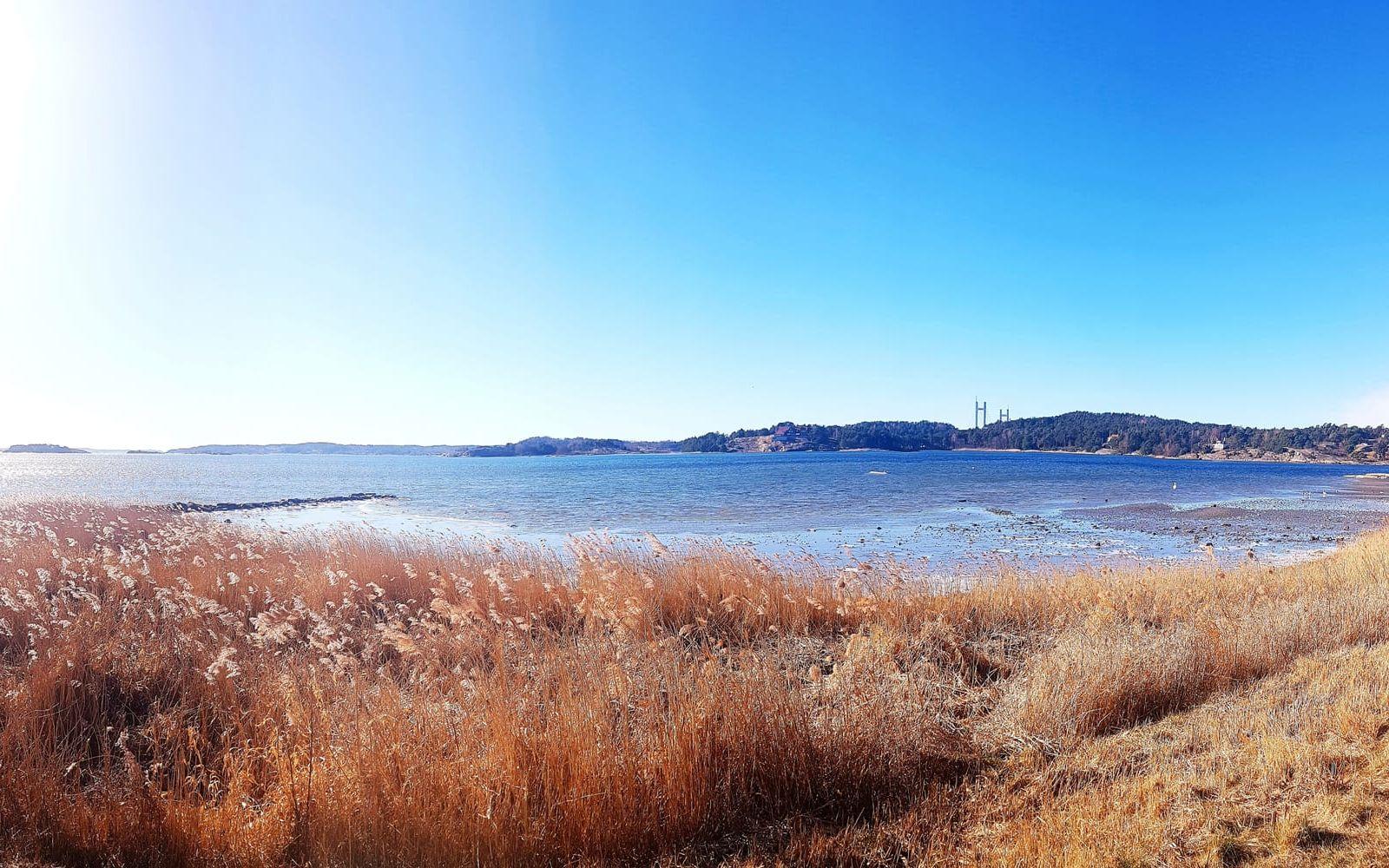 På solig promenad längs med "strandpromenaden" i Stenungsund den 5/3. Vy mot Tjörnbron i fjärran.