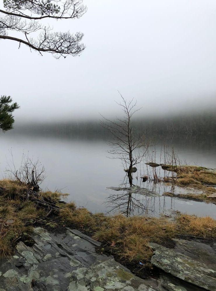 Stilla morgon vid sjön Hällungen i Ödsmål 21/3. 