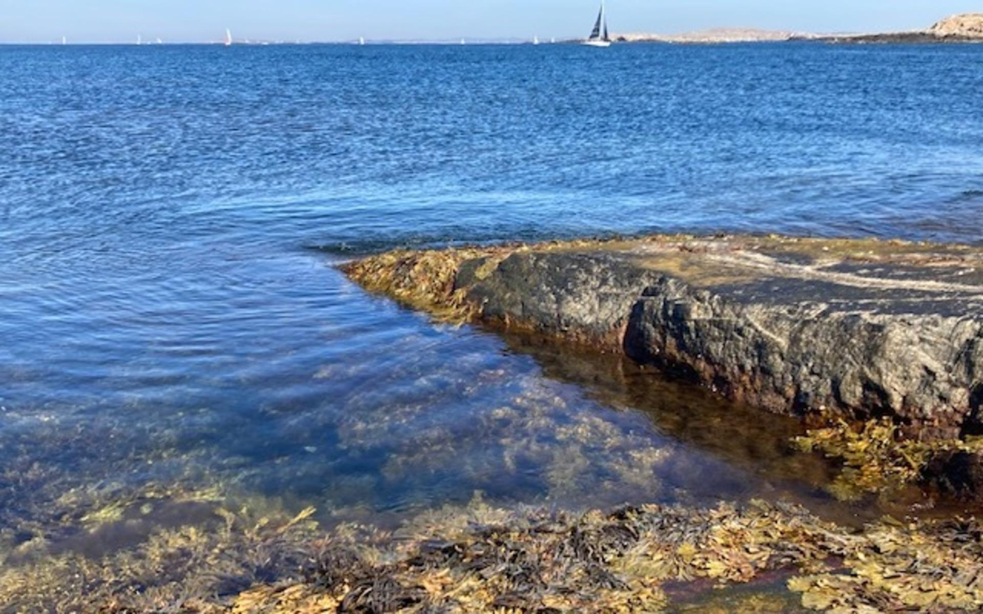 På Eggskär utanför Klädesholmen 24/8.