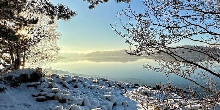 Februari månads vinnarbild.