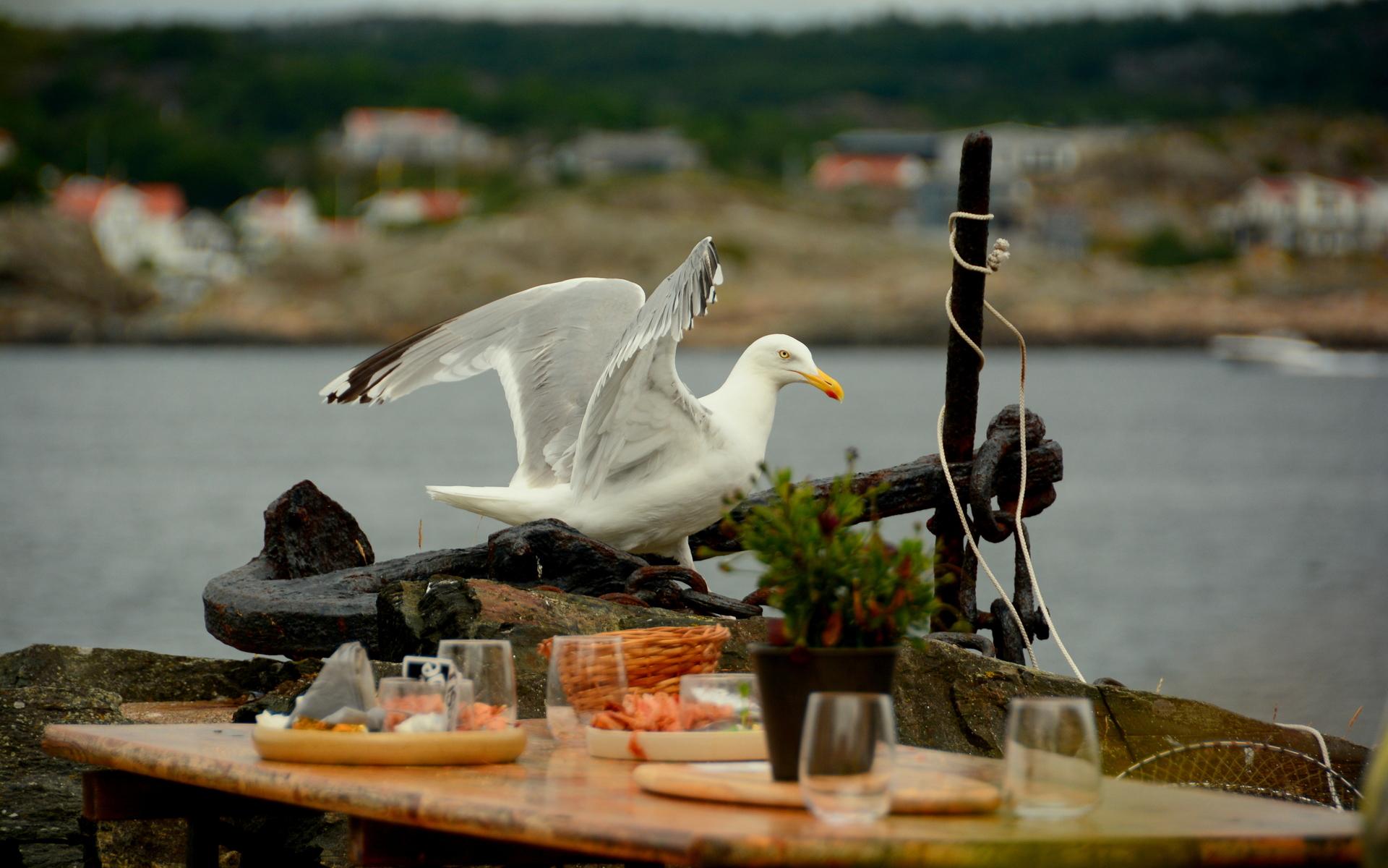 Åstols rökeri en lördag i juli.